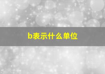 b表示什么单位