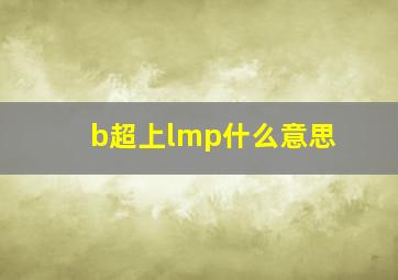 b超上lmp什么意思