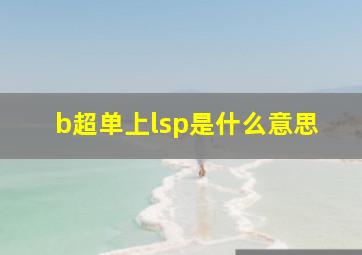 b超单上lsp是什么意思