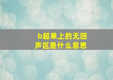 b超单上的无回声区是什么意思