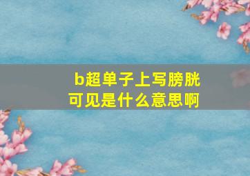 b超单子上写膀胱可见是什么意思啊