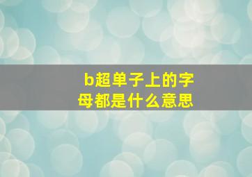 b超单子上的字母都是什么意思