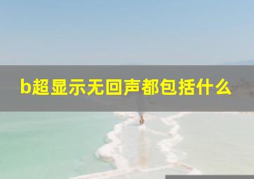 b超显示无回声都包括什么