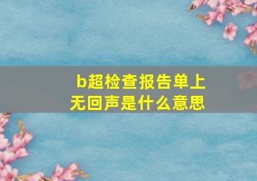 b超检查报告单上无回声是什么意思