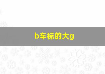 b车标的大g