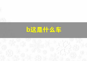 b这是什么车