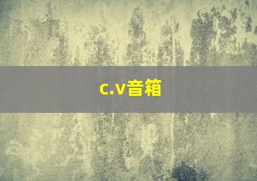 c.v音箱