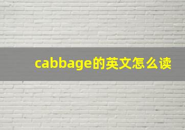 cabbage的英文怎么读