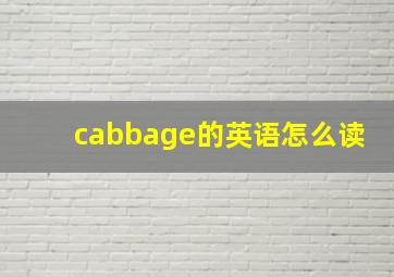 cabbage的英语怎么读