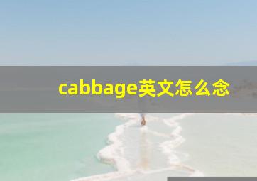 cabbage英文怎么念