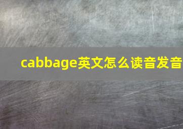 cabbage英文怎么读音发音