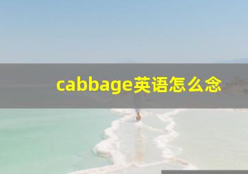 cabbage英语怎么念