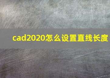 cad2020怎么设置直线长度