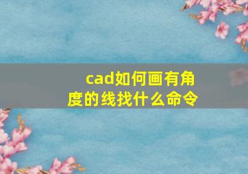 cad如何画有角度的线找什么命令