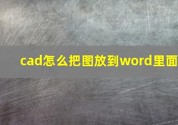 cad怎么把图放到word里面