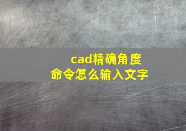 cad精确角度命令怎么输入文字