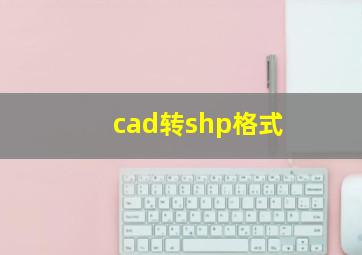 cad转shp格式