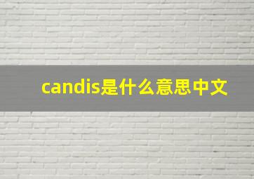 candis是什么意思中文