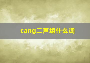 cang二声组什么词