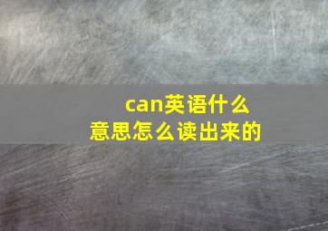 can英语什么意思怎么读出来的