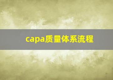 capa质量体系流程