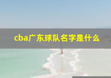 cba广东球队名字是什么