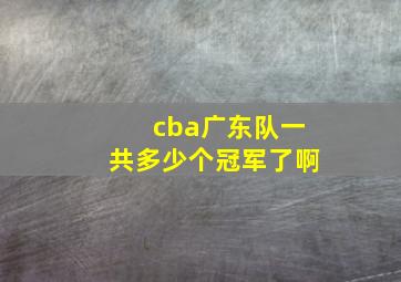 cba广东队一共多少个冠军了啊