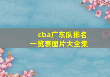 cba广东队排名一览表图片大全集