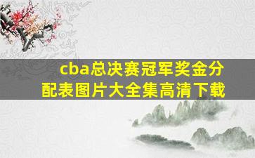 cba总决赛冠军奖金分配表图片大全集高清下载