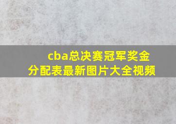 cba总决赛冠军奖金分配表最新图片大全视频