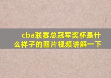 cba联赛总冠军奖杯是什么样子的图片视频讲解一下