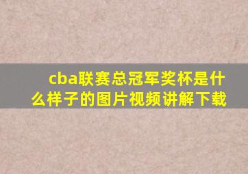 cba联赛总冠军奖杯是什么样子的图片视频讲解下载