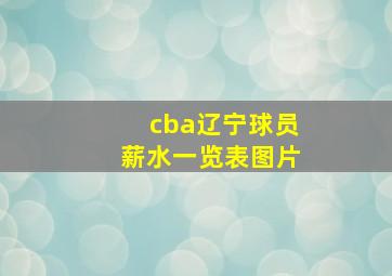 cba辽宁球员薪水一览表图片