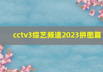 cctv3综艺频道2023拼图篇