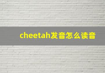 cheetah发音怎么读音