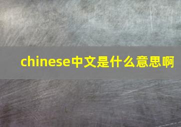 chinese中文是什么意思啊