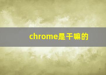 chrome是干嘛的