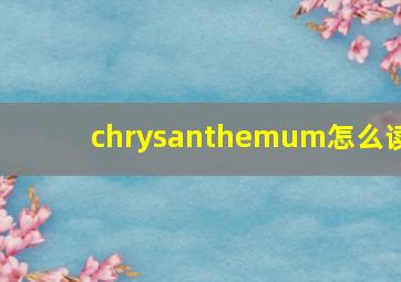 chrysanthemum怎么读