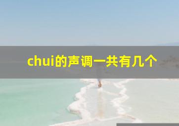 chui的声调一共有几个