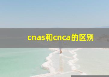 cnas和cnca的区别