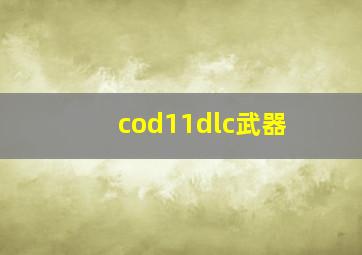 cod11dlc武器