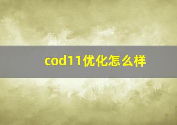 cod11优化怎么样