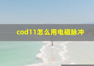 cod11怎么用电磁脉冲