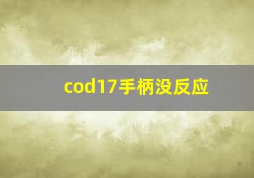 cod17手柄没反应