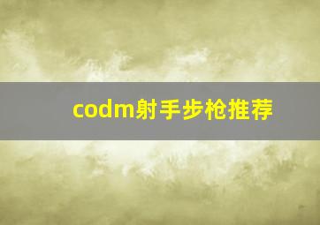 codm射手步枪推荐