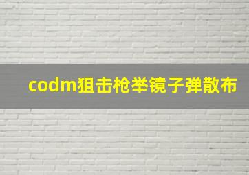 codm狙击枪举镜子弹散布