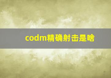 codm精确射击是啥