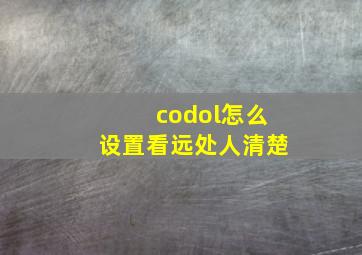 codol怎么设置看远处人清楚