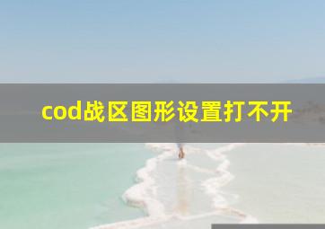 cod战区图形设置打不开