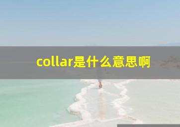 collar是什么意思啊